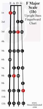 F Major Scale Upright Double Bass Fingerboard Notes Chart In