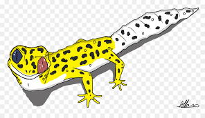We did not find results for: Common Leopard Gecko Cartoon Zeichnung Cartoon Leopard Bilder Png Herunterladen 1024 572 Kostenlos Transparent Reptil Png Herunterladen