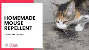 No harm will come from them and maybe they will work for you. Homemade Mouse Repellent 7 Essential Options Diy Rodent Control
