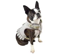 Martha Stewart Fashionable Tweed Dog Harness Qvc Com