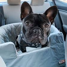 Frenchie Puppy Dog Car Seats French