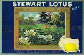 Stewart Lotus Lemon Label Upland Ca