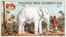 What does it mean when someone gives you a white elephant?
