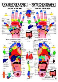 Physiotherapy I Reflexzones Hand And Feet Anatomical Chart