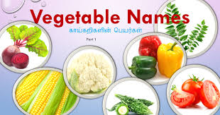 Vegetables Name And Images In Tamil And English Vegetables