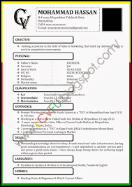 Professional Curriculum Vitae Sample Template of a Fresher 