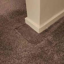 experts in carpet care repair