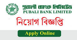 Pubali Bank Limited Job Circular 2022 এর ছবির ফলাফল