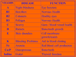 Aim What Nutrients Do Our Bodies Need To Function Properly
