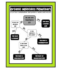 Organic Macromolecule Flowchart Organic Molecules