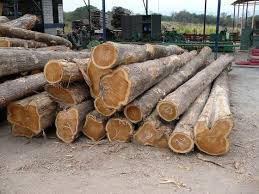 Myr 8550 / modular sofas malaysia for sale kuala lumpur; Teak Wood Id 9865213 Buy Malaysia Teak Wood Logs Teak Wood Lumber Burma Teak Wood Logs Ec21