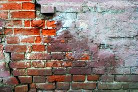 Red Brick Wall Half Covered With
