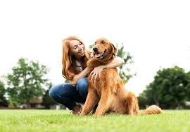 It offers 0% promotional financing for 6, 12, 18, or 24 months, depending on your creditworthiness. Veterinary Financing Carecredit