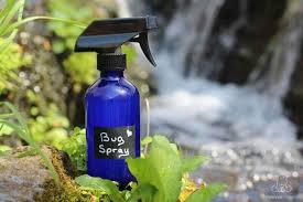 Pour the mix into a spray bottle and mist it over your clothes and skin or rub directly onto your skin. Easy Diy Homemade Bug Spray