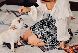 pet friendly rugs washable rugs