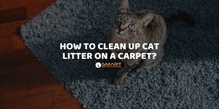 how to clean up cat litter on a carpet