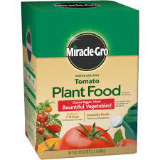 tomato dry plant food