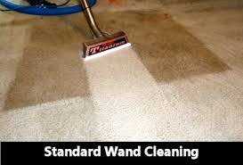 steam cleaning carpet and upholstery