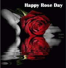 happy rose day 2024 images es