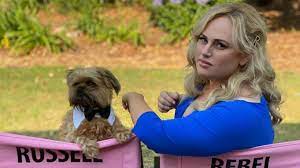 Watch the series premiere tuesday, march 30 at 8|7c on @abcnetwork! Rebel Wilson To Host U S Remake Of Pooch Perfect For Abc Deadline