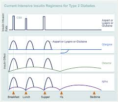 Designing An Insulin Regimen Diabetes Education Online