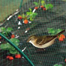Anti Bird Netting Next Day Delivery