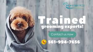 Customer service has been kind, timely, responsive and personal…truly my pet has better health. Largest Dog Grooming Service Clinic Care Veterinary Care Healthy Pets Veterinary