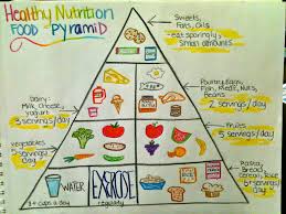 Re Do Of Explanation Graphic Food Pyramid Briana Balboni