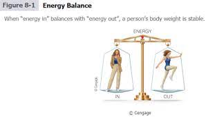 Energy Balance And Composition