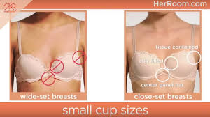Bras For Women With Small Cup Sizes Herroom