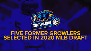 3 big mlb winners going today Five Former Growlers Selected In 2020 Mlb Draft Kalamazoo Growlers Kalamazoo Growlers