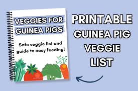 free printable guinea pig vegetable