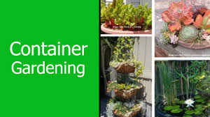virtual gardening series container