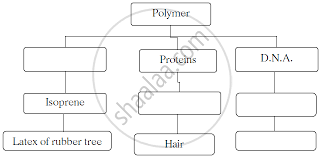 Complete The Following Flow Chart Ssc Marathi Semi