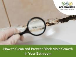 black mold growth in your bathroom