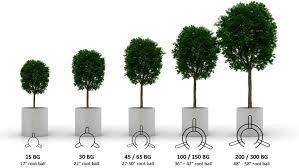 Sizing Chart Treestake Solutions