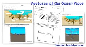 ocean unit packet marine habitats