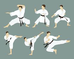 karate moves images browse 6 447