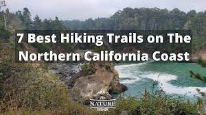 the 7 best hiking trails on the