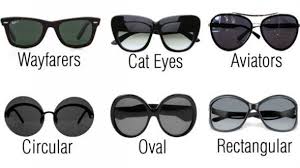 Sunglass Comparison Chart Visual Differences Type Sunglasses