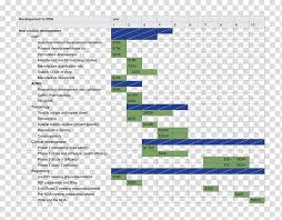 Gantt Chart Diagram Drug Development Pharmaceutical Drug