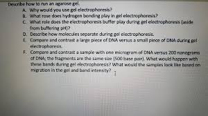 agarose gel