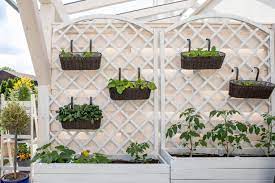 Vertical Gardening Grow More