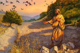 takeaways from the parable of the sower