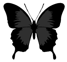 borboleta preta aviso de morte: 2016