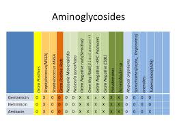Spectrum Of Commonly Used Antibiotics