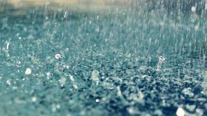 hd rain water drops 1080p wallpaper