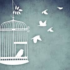 the poem caged bird by maya angelou