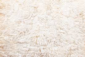 white fur carpet stock photo
