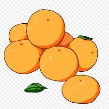 осень урожай Фруктовый апельсин Рисованная иллюстрация PNG , апельсины,  урожай, Аниме анимация PNG картинки и пнг PSD рисунок для бесплатной  загрузки